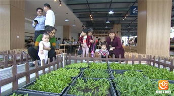 常州农产品电商新篇章 线上“菜市场”与孵化中心双轮驱动