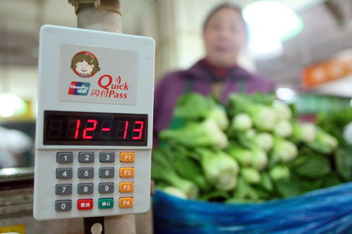 生鲜触网 掌上菜市场让菜篮子更便捷