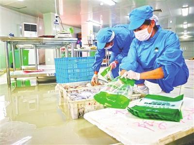 “电商+农业”打造农产品销售新模式 “掌上菜市场”越发受青睐